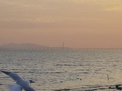 -红树湾(地铁站)