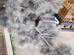 -金香匯晚茶(浑南店)