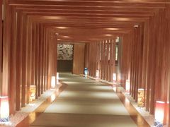 -重庆南山海昌汤都