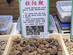 -霍尔果斯国门景区
