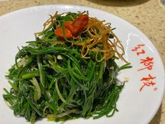 -红柳枝滩羊烧烤·银川非遗