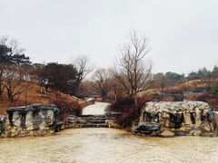 -北京西山国家森林公园