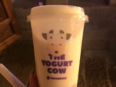 -一只酸奶牛(八一路店)