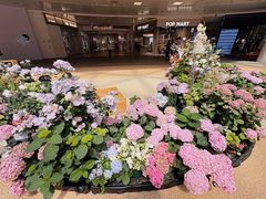 -上海长风大悦城