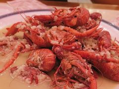 -杨氏青龙虾·羊蝎子(珠江路店)
