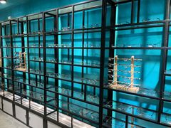 -Trend1881视光·蔡司视觉(领展广场店)