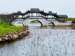 -上海海湾国家森林公园