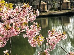 -无锡梅园公园