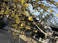 -西安化觉巷清真大寺