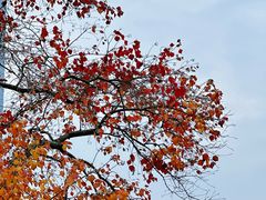 -艾溪湖湿地公园