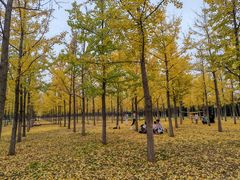 -汉长安城未央宫国家考古遗址公园