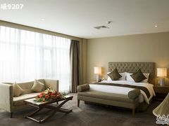 COL_3253-上海如意智慧酒店(上海科学院店)