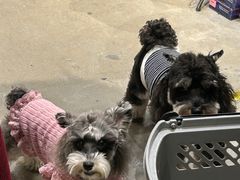 -陶缘陶瓷工厂店