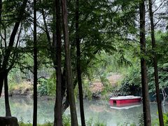 -贡湖湾湿地公园