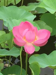 -大望京儿童游乐场