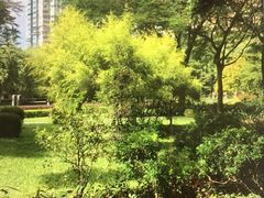 -晓港公园