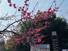 -天鹅湖体育公园