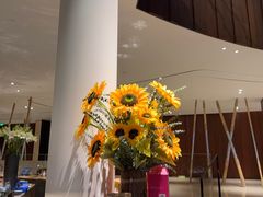 -北京望京凯悦酒店The Lounge大堂酒廊