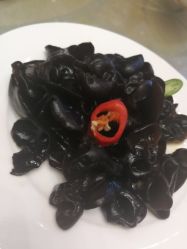 -上海绿地万豪酒店·大宴会厅
