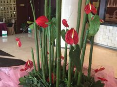 -甸园锦江宾馆(北外滩店)