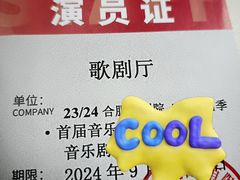 -合肥大剧院