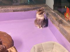 -顺德南宏海立方海洋公园