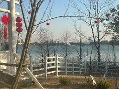-金鸡湖桃花岛