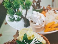-洪氏嗨捞·广东猪肚鸡·椰子鸡火锅(西咸万象城店)