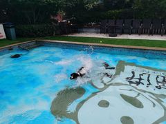 -汪说喵讲宠物乐园宠物酒店(红星美凯龙店)