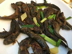 -隆都四季香饭店(碧海路店)