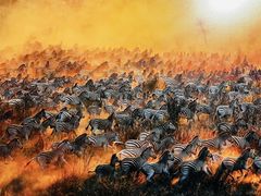 -罗红摄影艺术馆