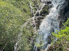 -东白山