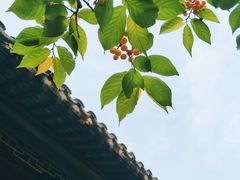 -拙政园