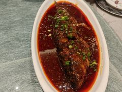 -陈麻婆豆腐(旗舰店)