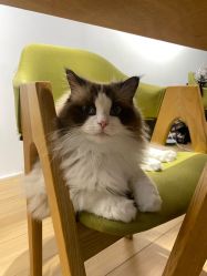 -Sugar苏格婚礼策划工作室