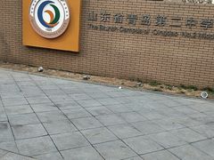 -山东省青岛第二中学(江西路分校)
