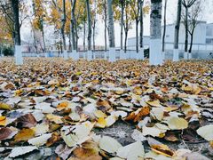 -东升八家郊野公园