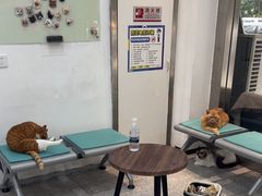 -四月宠物医院·猫专科·心脏专科·内科(转塘店)