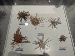 -陕西自然博物馆