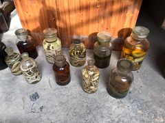 -呀诺达热带雨林
