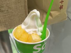 -Salud撒露欧洲冻酸奶(蓝色港湾店)