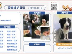 -狗不理喵子(百富路店)