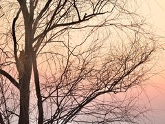 -野鸭湖国家湿地公园