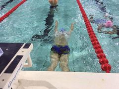 泳池-奥林匹克体育中心游泳馆