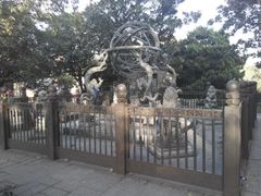 -紫金山天文台