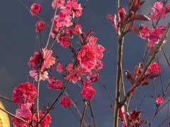 -西北湖绿化广场