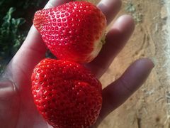 -肯德基(庄河店)