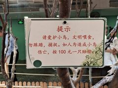 -上海大自然野生昆虫馆(东方明珠·爬宠昆虫探索中心)