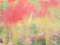-苏州湾体育公园