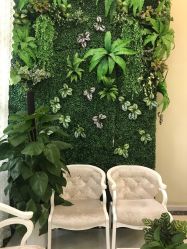 -苗医生草本科技祛痘